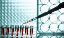 Laboratuvar Hizmetleri